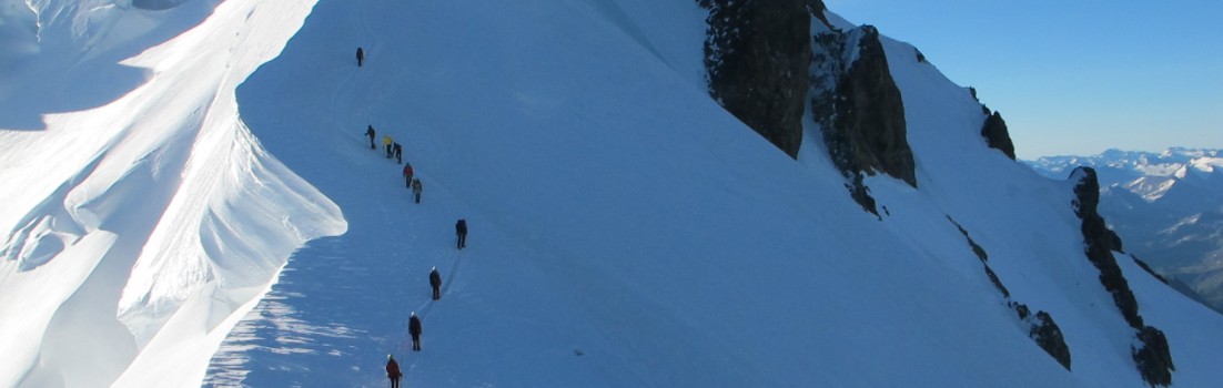Schlange am Mont Blanc
